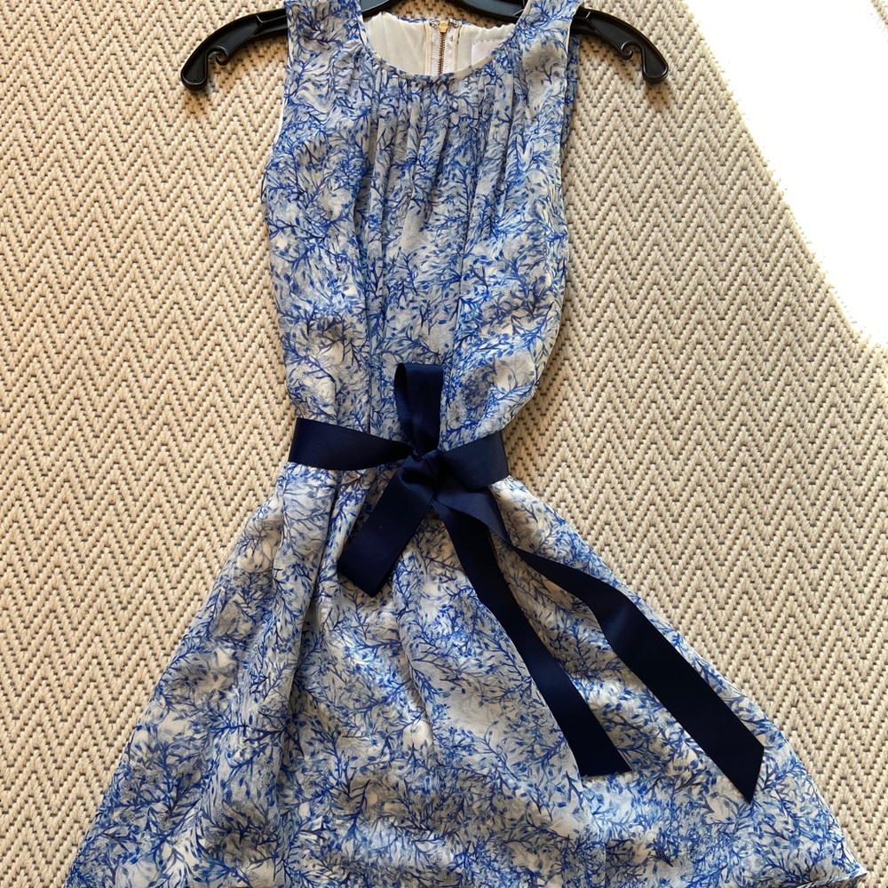 ADAM Adam Lippes Blue & White, Sleeveless Floral Silk Dress, Sz 0